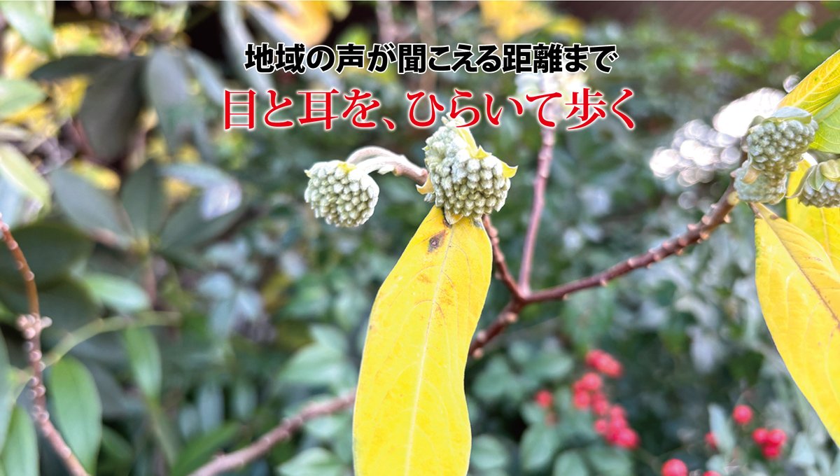 QUESTORY's tweet image. 【目と耳を、ひらいて歩く】
フィールドワークでは、五感をフルに活用しましょう。店舗、看板、街の色合い、建物の老朽化具合などから、地域の雰囲気を感じ取ります。
人の会話、地元の方言、騒音や静けさにも、少し立ち止まって耳を傾けてみてください。