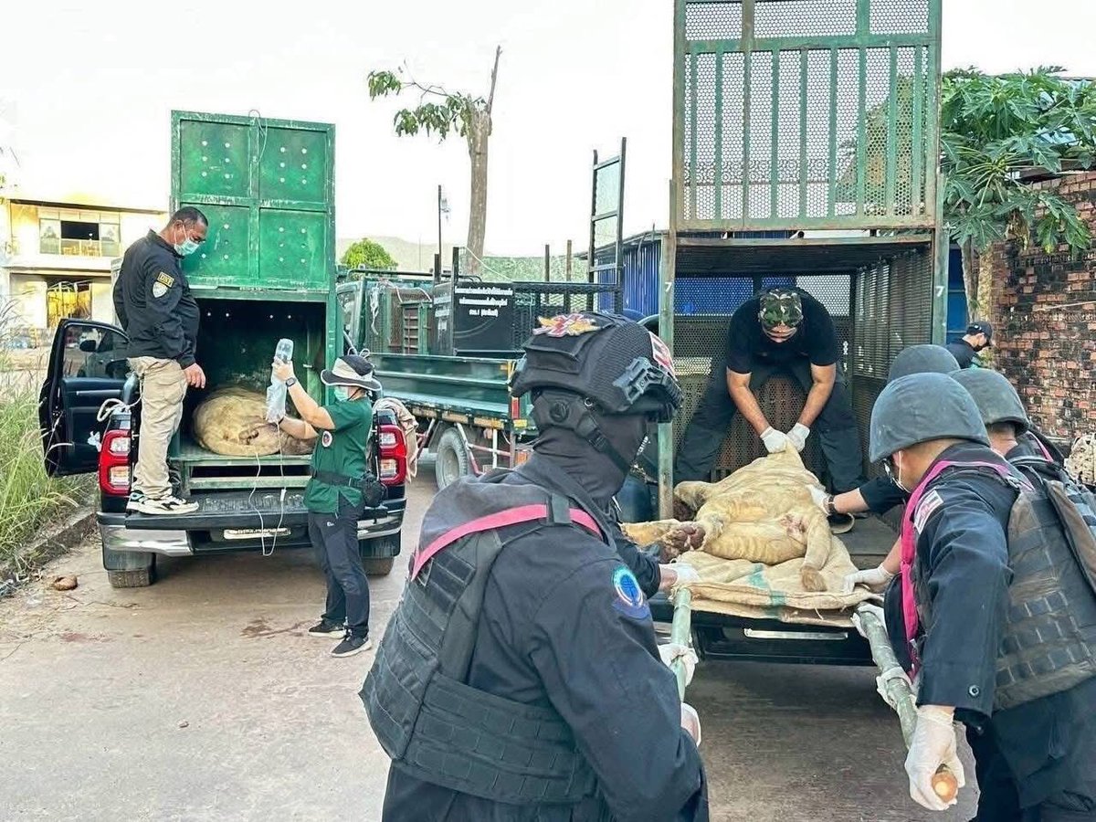 DYPheary's tweet photo. The Thai army has escalated from invading Cambodian territory to robbed Cambodian property with force, without shame or fear of being tarnished and becoming thieves.
#CambodiaWantsPeace 😢🇰🇭🙏 https://t.co/ajGGQIO2mk