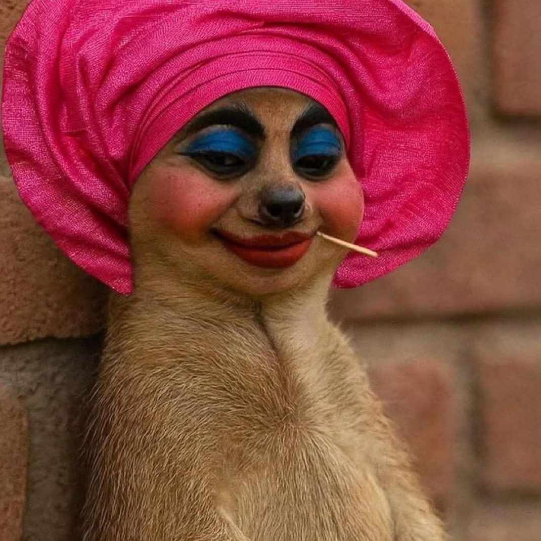 OurFavOnlineDoc's tweet image. A Nigerian tries to defend religious intolerance before an Emirati-born islamic sheikh from UAE and he puts him in his place. 😭 😭 😭