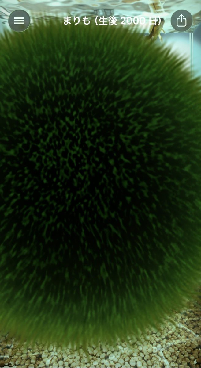 全然どーでもいいんですけど 2000日突破しましたm(__)m