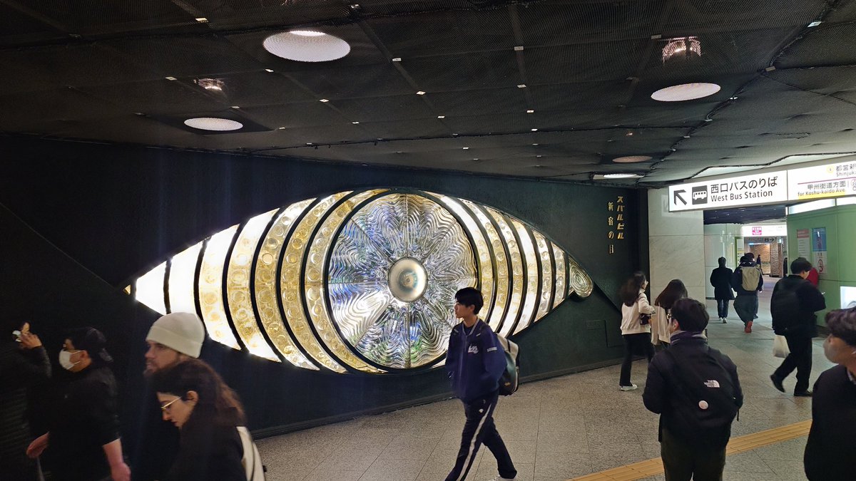 たぬき (@YJTheRaccoonDog) on X