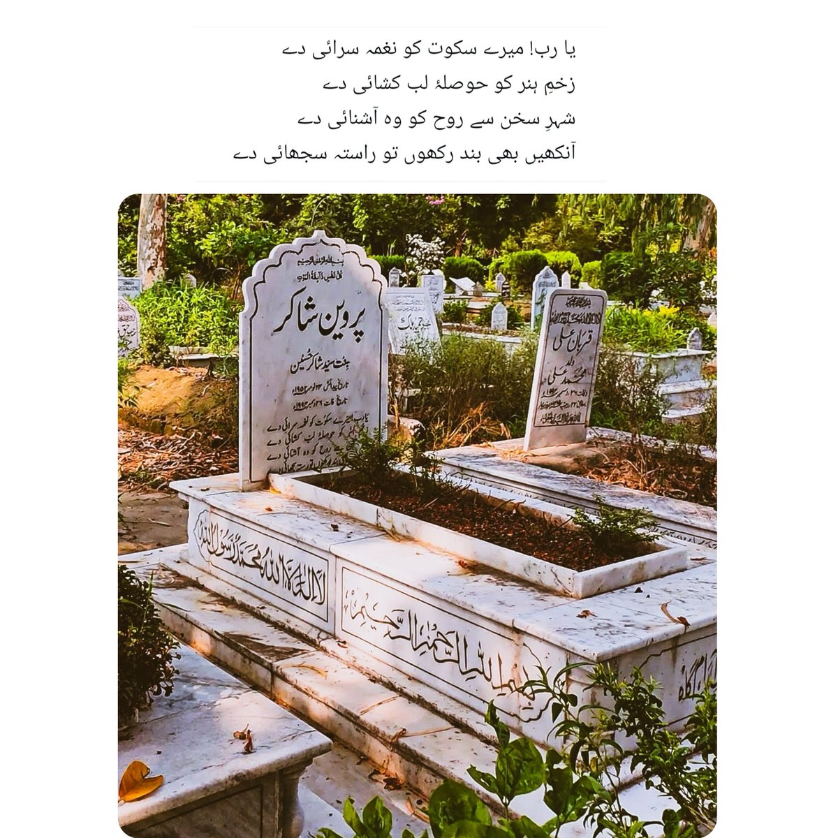 EkDumSeedhi's tweet photo. Remembering this accomplished woman who gave a feminine perspective to poetry. 
I visited her grave last summer; years have passed, yet the words inscribed there still resonate, and her ‘hunar’ lives on in minds, hearts, and bookshelves.

#ParveenShakir https://t.co/PVioEzo3yU