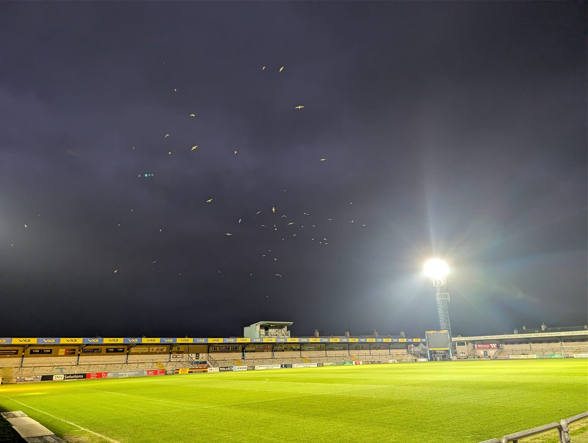 TUFC1899's tweet image. 🌅 Good Morning, Yellow Army!

Our fantastic team of staff and volunteers have been up extra early this Boxing Day, making sure Plainmoor is ready for this afternoon's BIG match!

🎟️  Only a few tickets remaining!

➡️  tinyurl.com/bddv7u69

#tufc