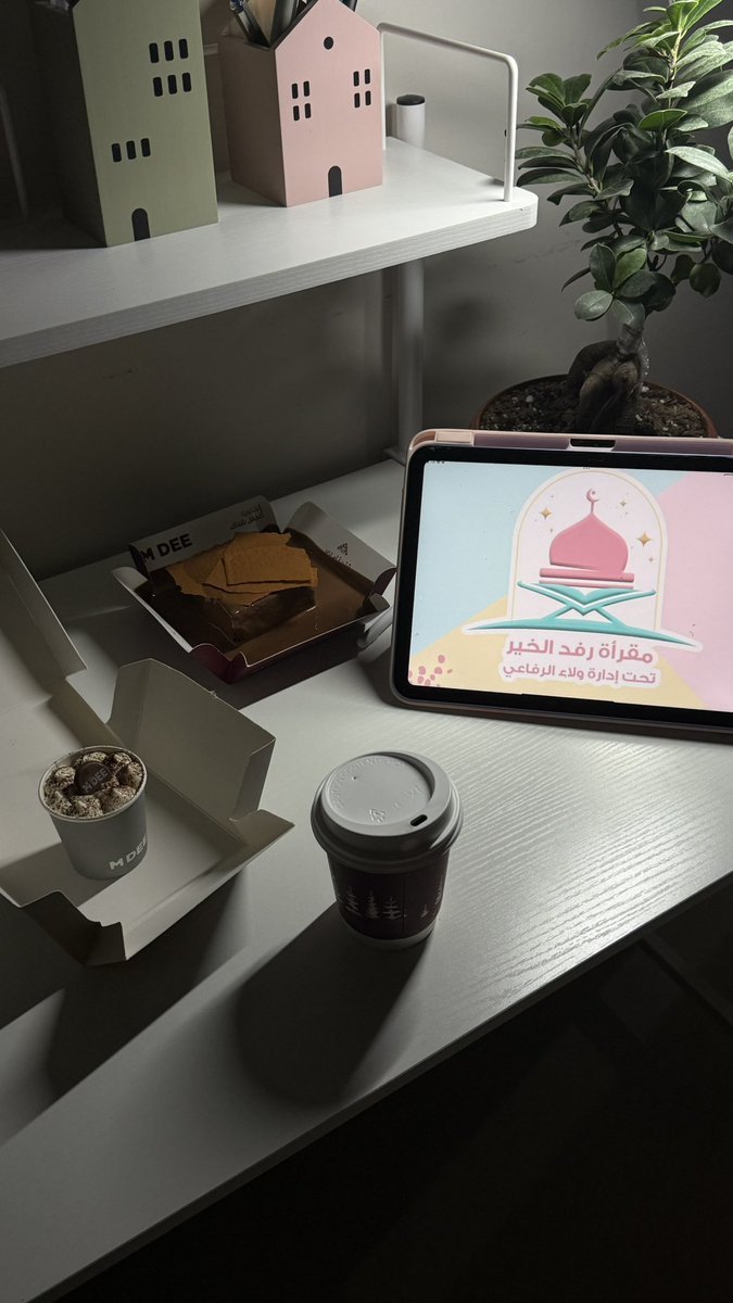آمال🪴🌱. tweet media