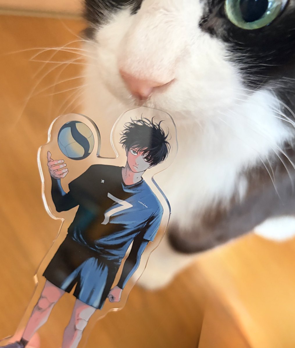 ガク…見ろ… こちらが猫さんだ