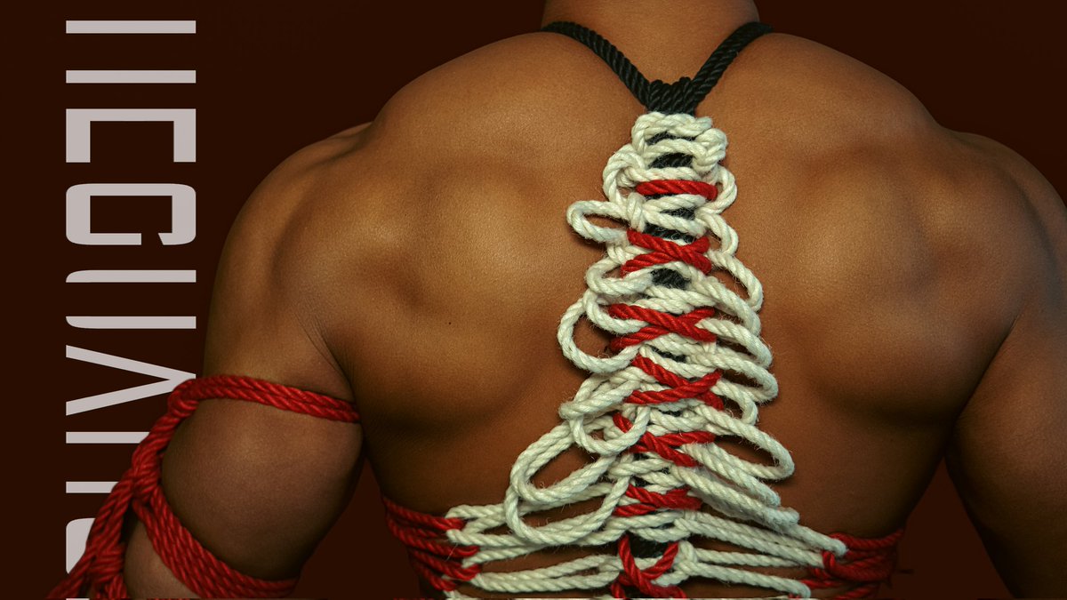 向小杰 tweet media