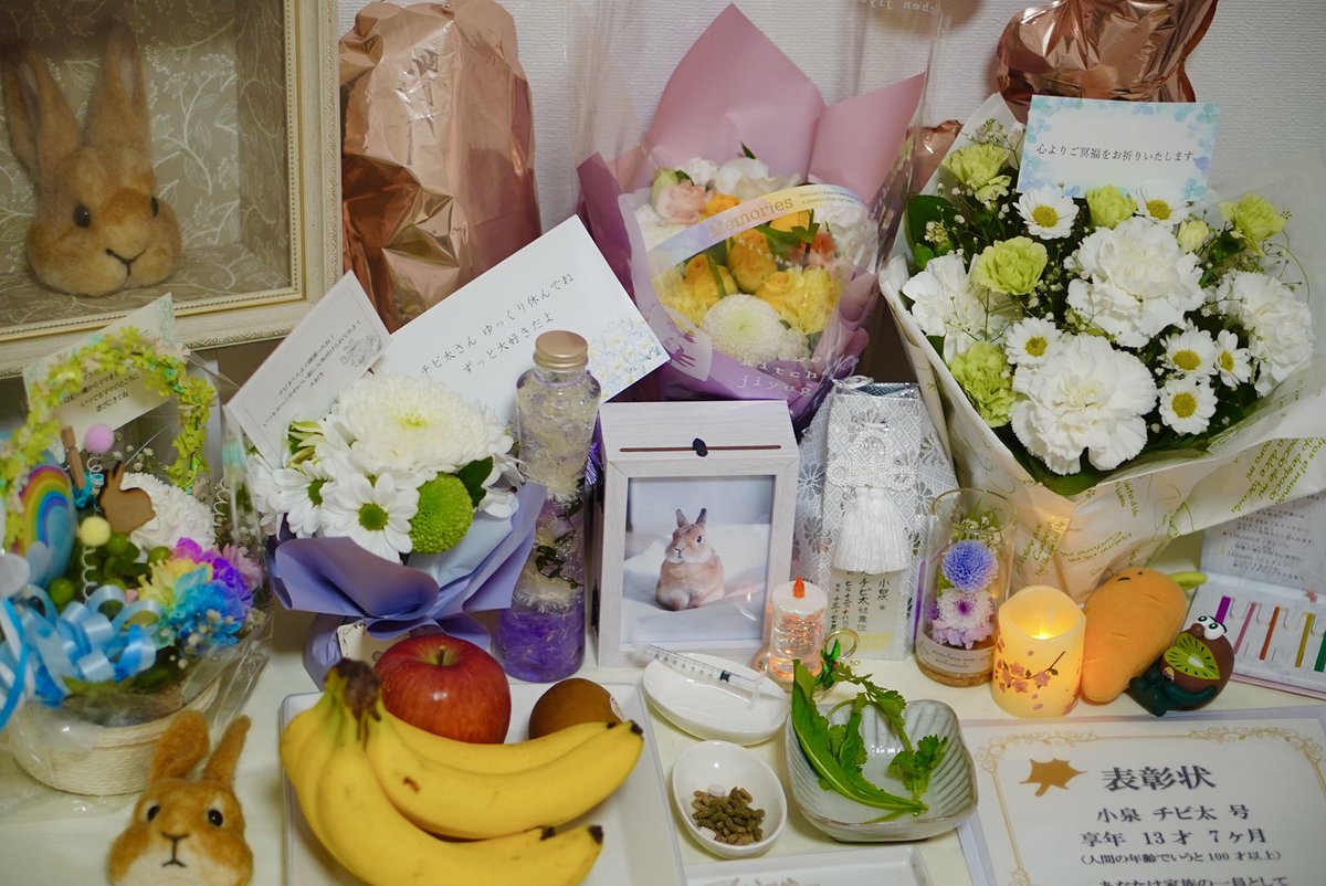 チビ太(CHIBITA🐰)のママ太 (@piccolocibi) / Posts / X