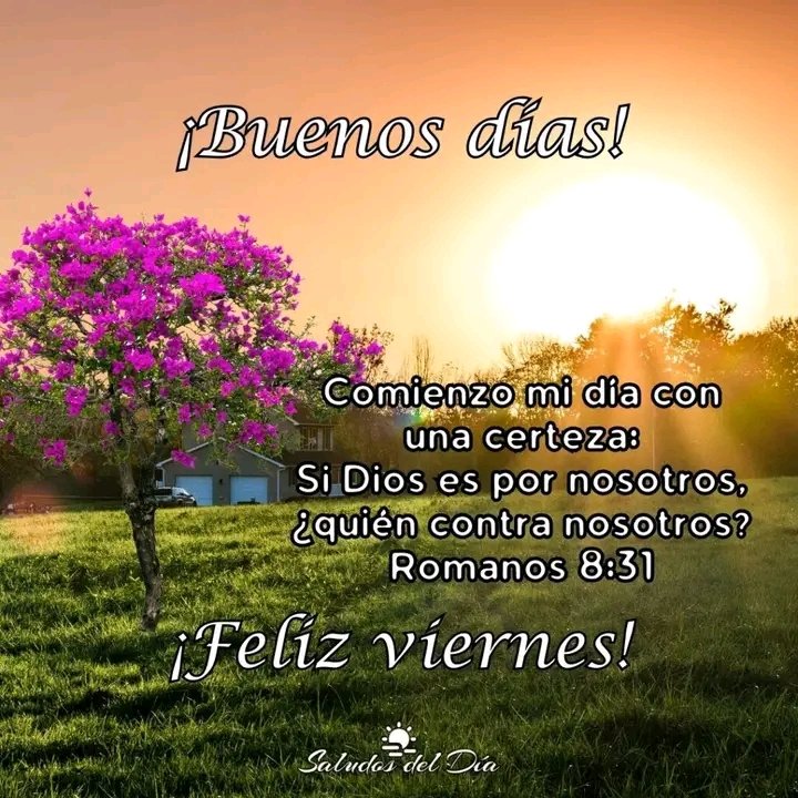 RacingHorseFree's tweet image. ¡Buenos días!
¡Feliz Viernes!
¡Bendiciones!