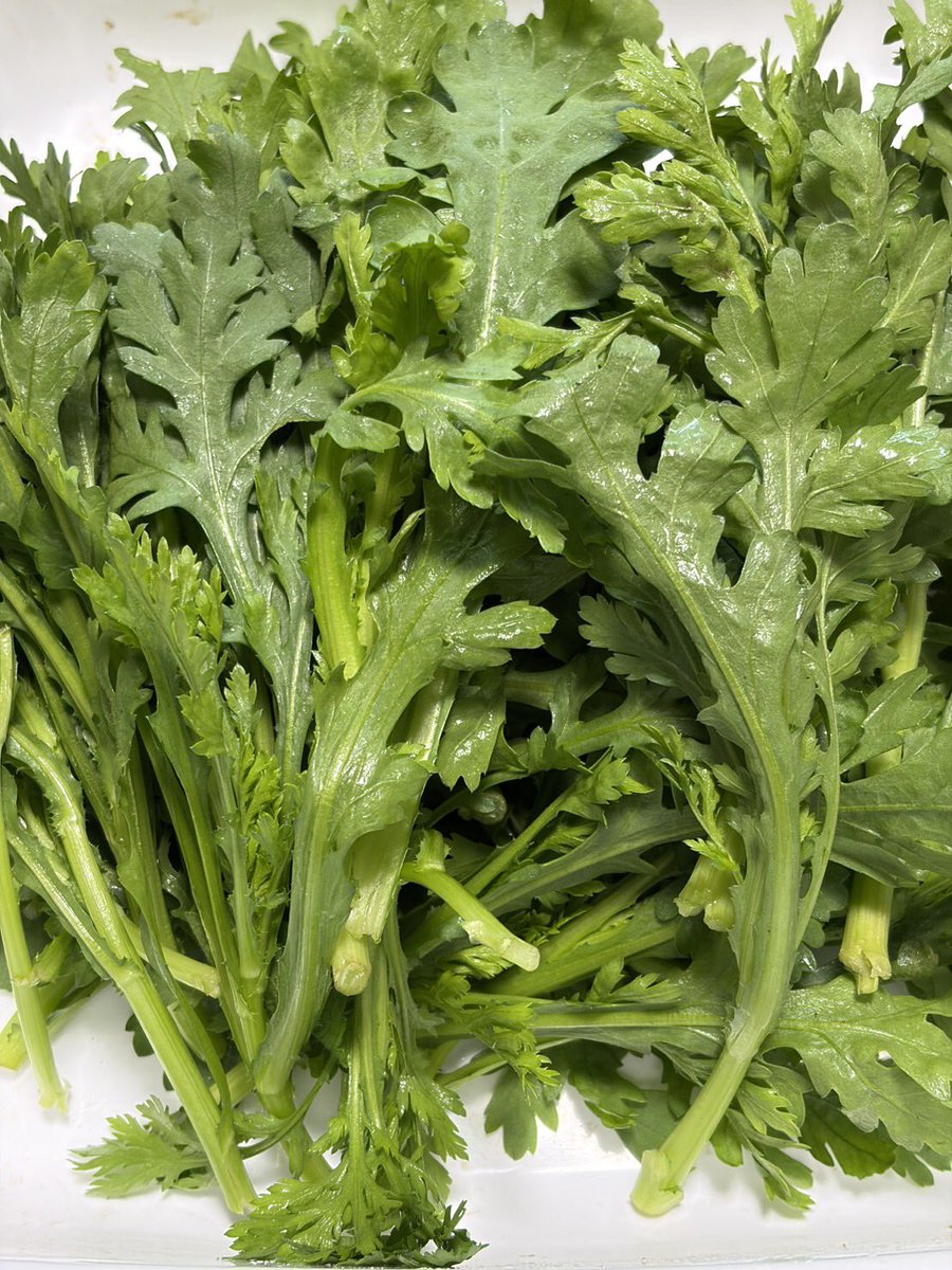 みなさまこんばんは🌆
今日もお疲れ様でした😆

素敵な年末をお過ごしくださいね☆