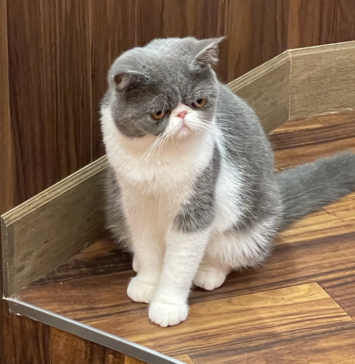 明日は新番組💫収録！！！ タイトル➡︎七瀬静香の七番勝負👊 初回収録