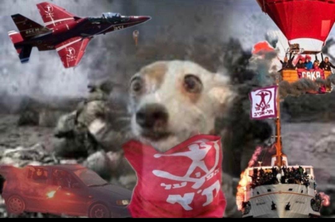 יגאל פריד בטדי