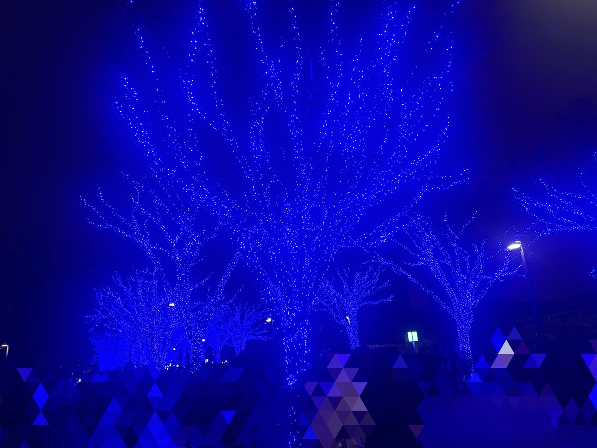 井上智恵 tweet media