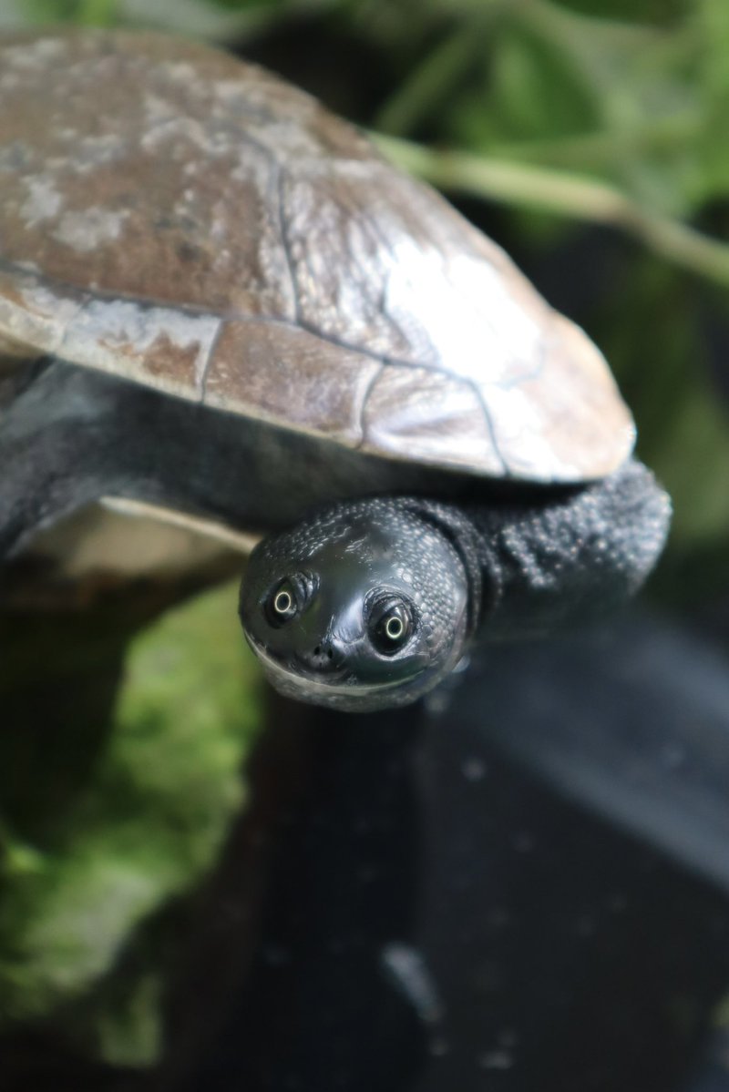 かんな (@kanna96) / Posts / X