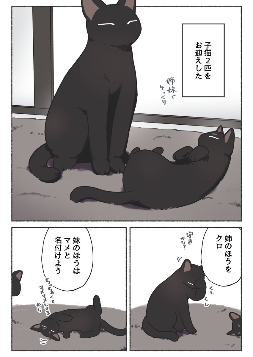 『うちの黒猫、おんなのこ』まとめ(1/5) 