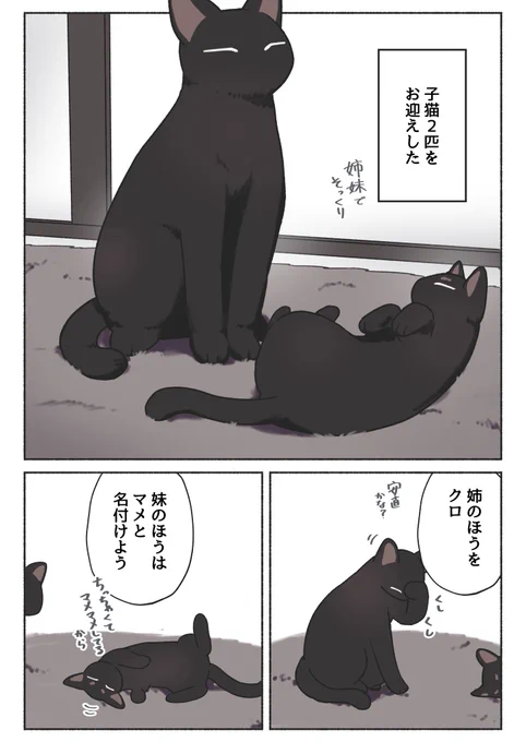 『うちの黒猫、おんなのこ』まとめ(1/5) 