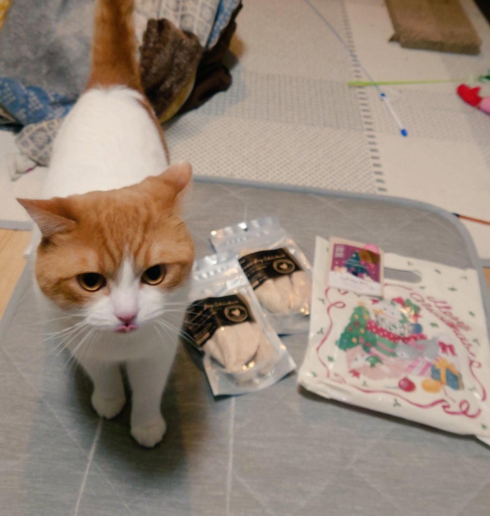 やむちゃまる おちゃまる (@ochamarusan0126) / Posts / X