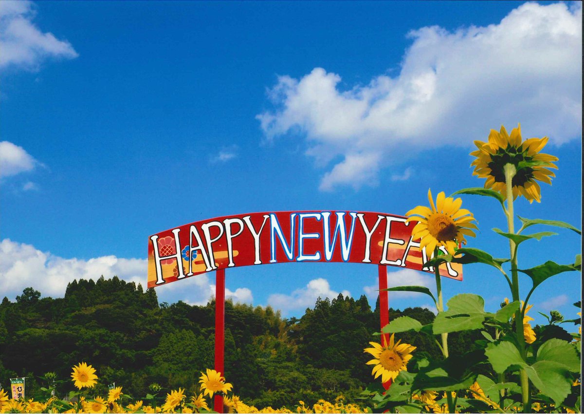 FLOWERかごしま (@flower_shien) / Posts / X