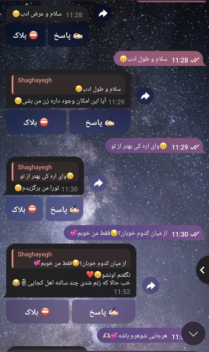 shaghayegh tweet media