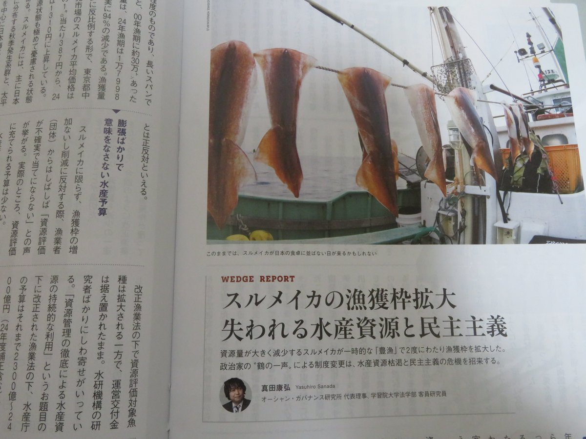 Sanada_Yasuhiro's tweet photo. このほど発売の『Wedge』１月号にスルメイカと水産予算について一文書きました。資源調査に金出さず、予算がつくのは補助金ばかり、枠が超過しそうになると科学的根拠ほぼゼロで増枠。獲れない理由は全て黒潮蛇行など環境のせい。これでは���来がありません
https://t.co/0WJfoj2Q7F https://t.co/XHT4DdXsUF