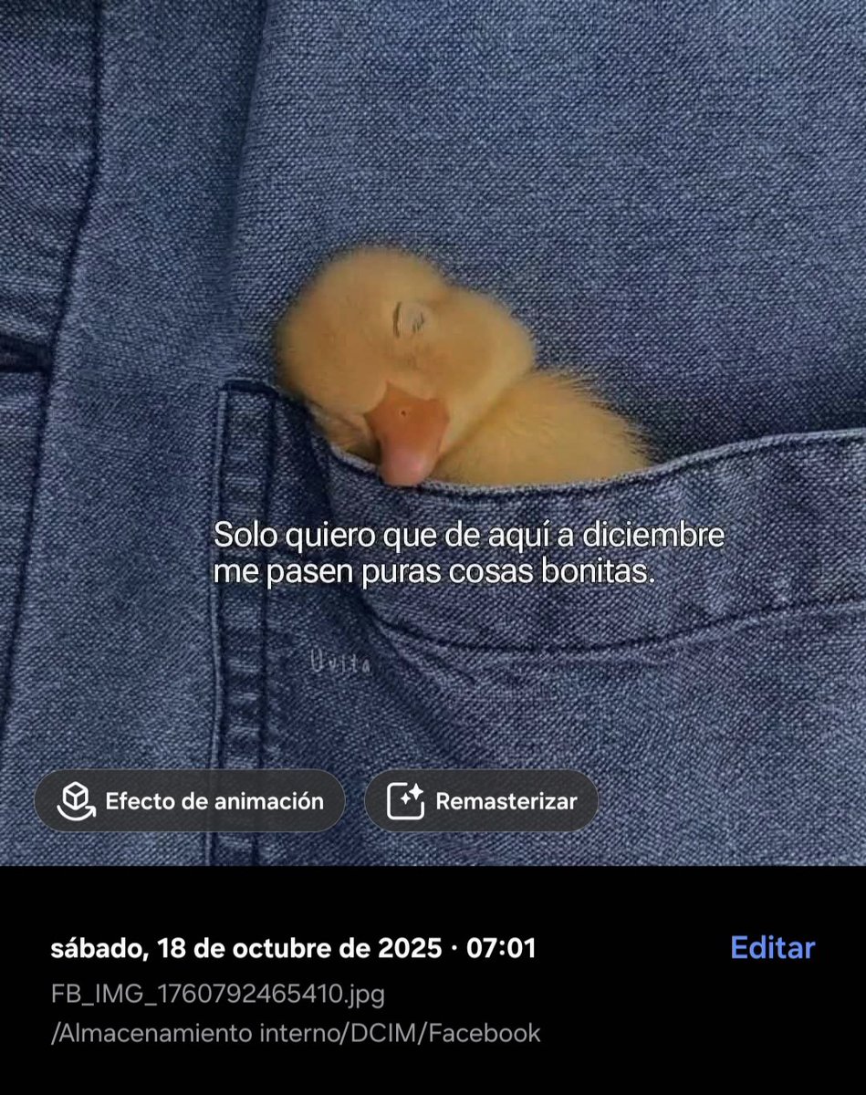 brucahob's tweet photo. En octubre guardé esta imagen, estaba cansada y triste de una mala racha larga, sin saber que se venían los dos más horribles meses de toda mi vida.  Hoy tengo mucha fe de leer esto en un par de años sabiéndome feliz. 
Update: No más RI. Más asertividad y self-care. https://t.co/IBwwPwG6l9