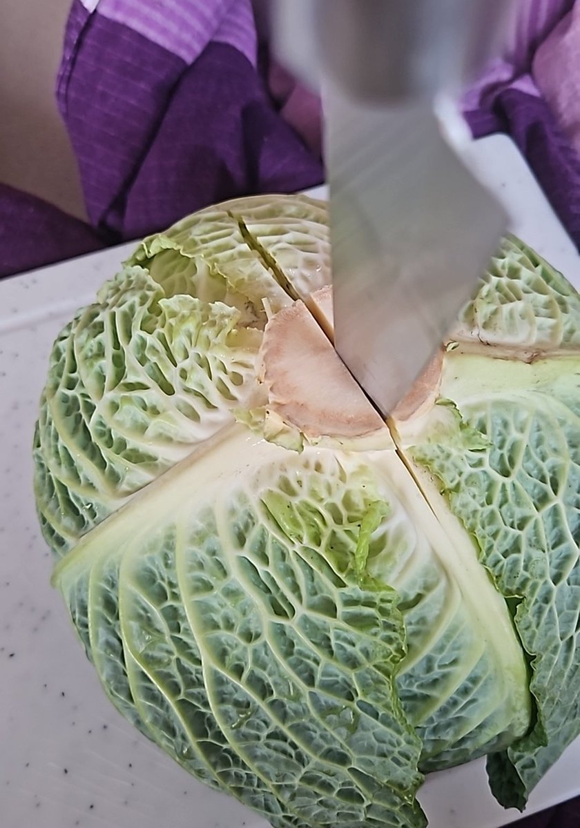 Einhornhummel 🐝 tweet media