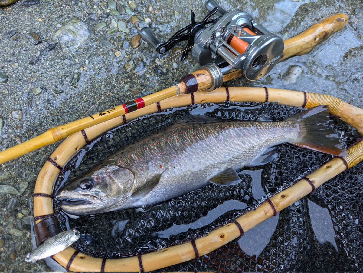 ヒロポン (@hpon164pon) / Posts / X