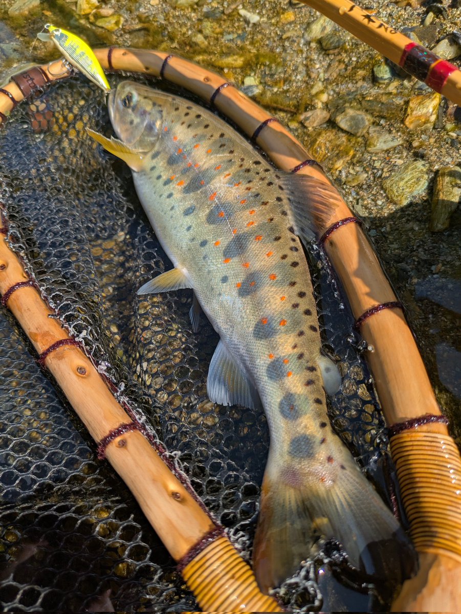 ヒロポン (@hpon164pon) / Posts / X