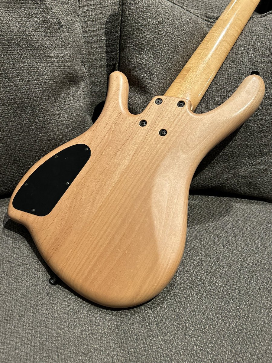 Art Tech / Custom Bass 5st Passive mod. 1992年生まれの、堂々たる