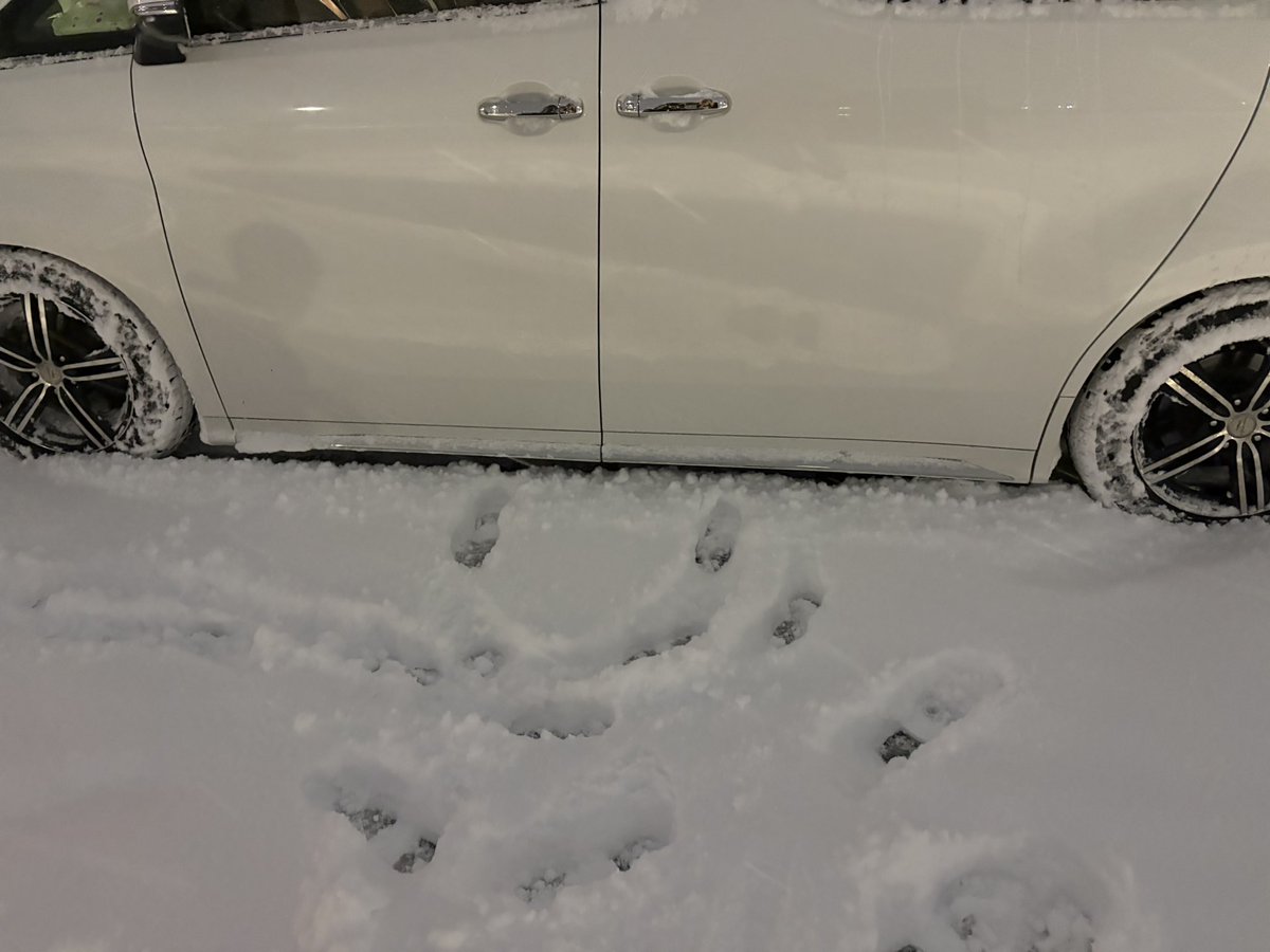 雪でますます低く見えるなw