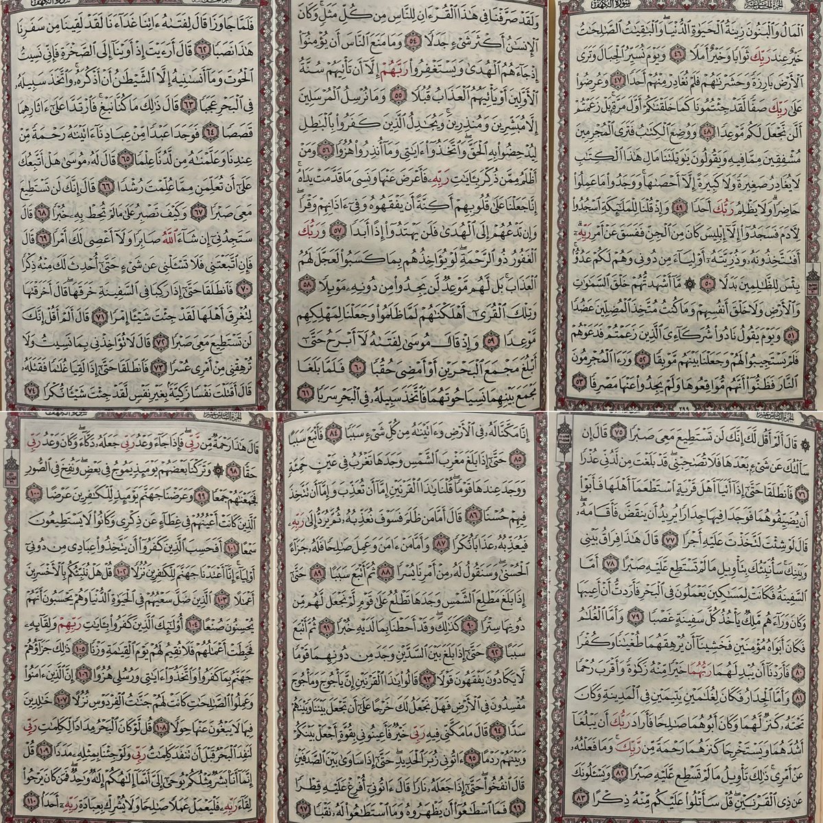 جيهان tweet media