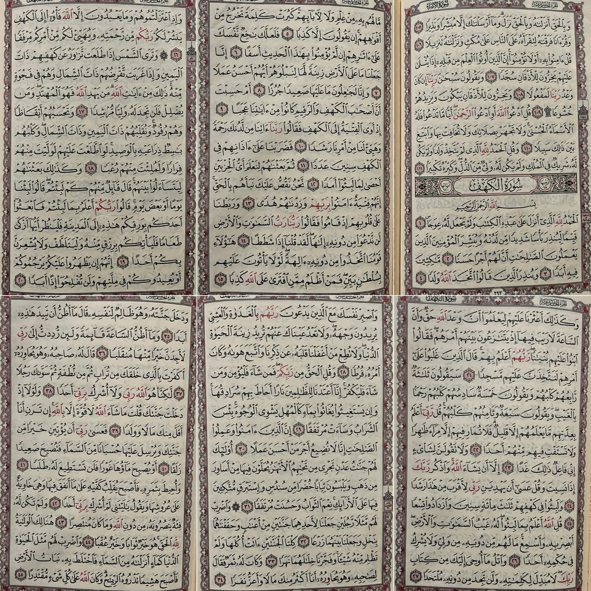 جيهان tweet media