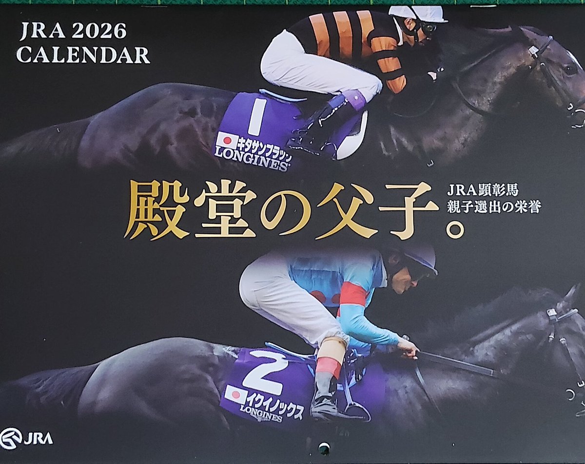 ナリタブライアン たてがみ L'ALPAGE 8.5cm ブナ 折りたたみキャンプナイフ – JACARANDA.TODAY