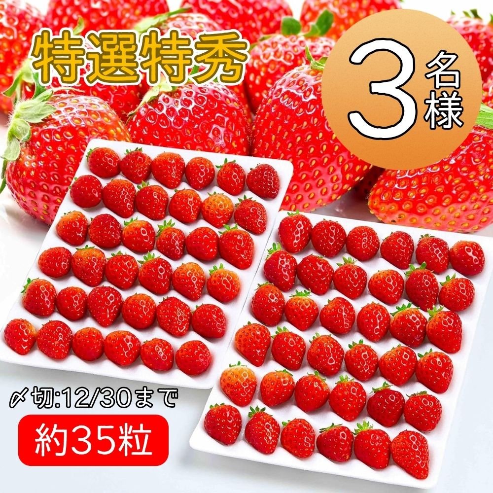 Ututu_JP's tweet photo. ＼年末感謝🙌キャンペーン🍓🎁／

赤いちご🍓詰め合わせセット₍約35粒₎
抽選で3⃣名様に🎁

🍓参加方法🍓
@Ututu_JPをフォロー&amp;リポスト      
ご応募は 12/30(火)まで

#キャンペーン #プレゼント企画 #拡散希望RTお願い致します https://t.co/YK8orVEF2f