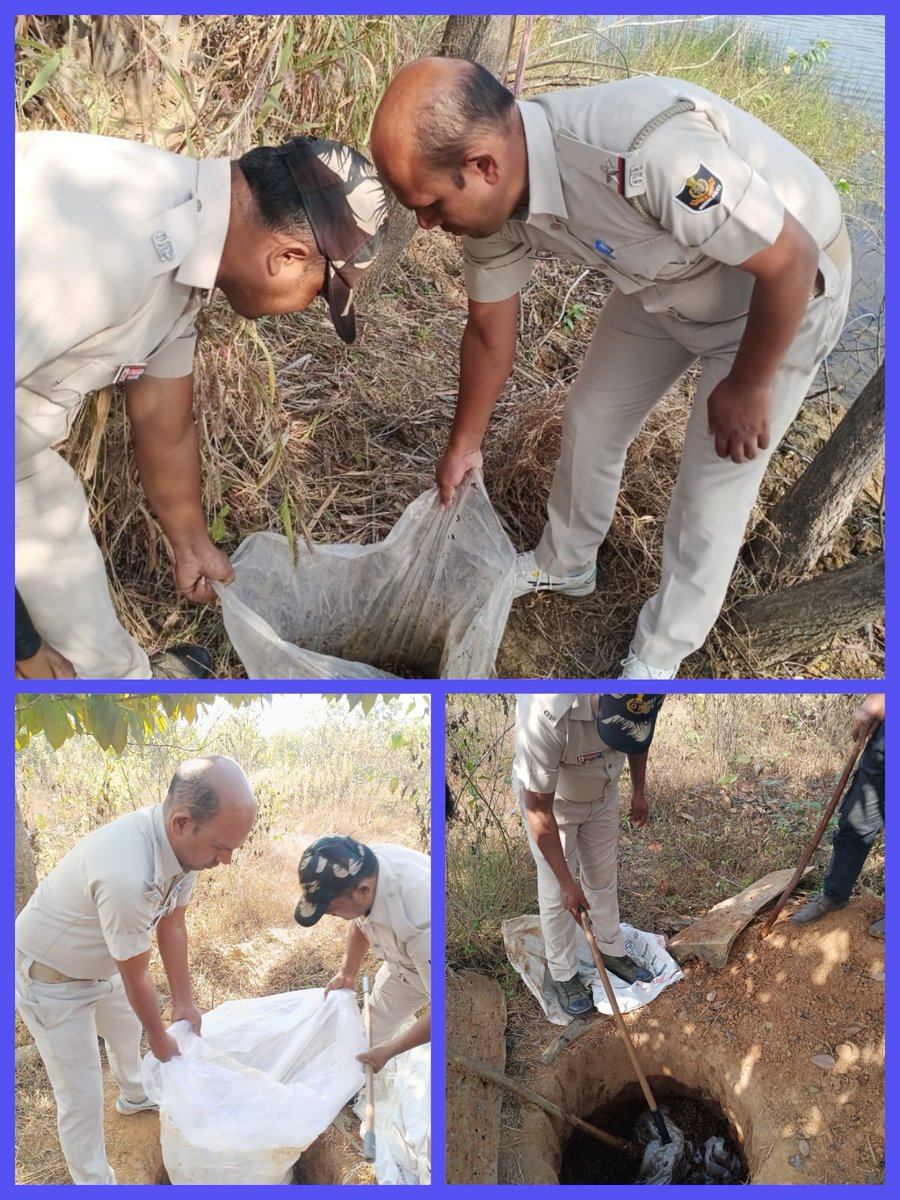 spsundargarh's tweet image. In a crackdown on illicit liquor, Dharuadihi Police conducted an excise raid at Tileimalti, Dudukabahal village jungle area, and destroyed approximately 7 quintals of mahua pocha.                    #ExciseRaid #IllicitLiquor #SundargarhPolice