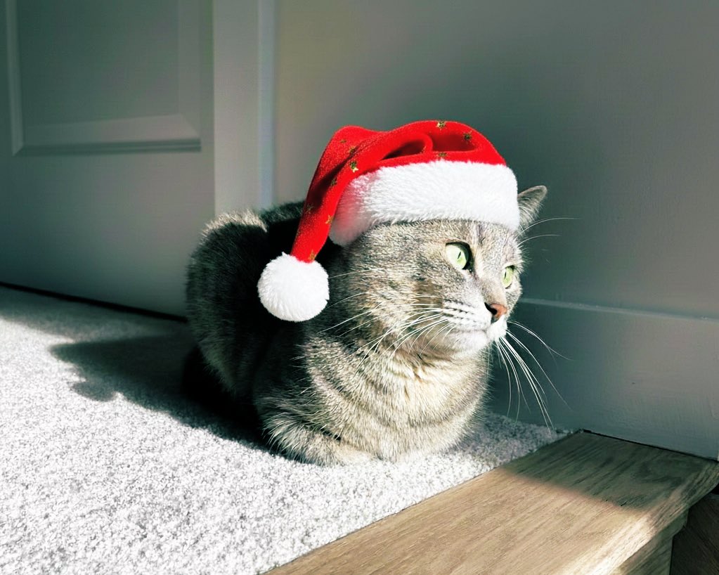 a96067999's tweet photo. 我们就是这样打扮过圣诞节的！🎄 https://t.co/dUJlEuVwUK