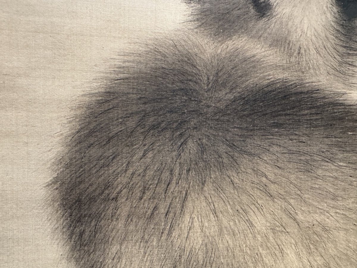 そういえば「月夜狸図」も12/28で最後です。ふわふわお耳、ふわふわ