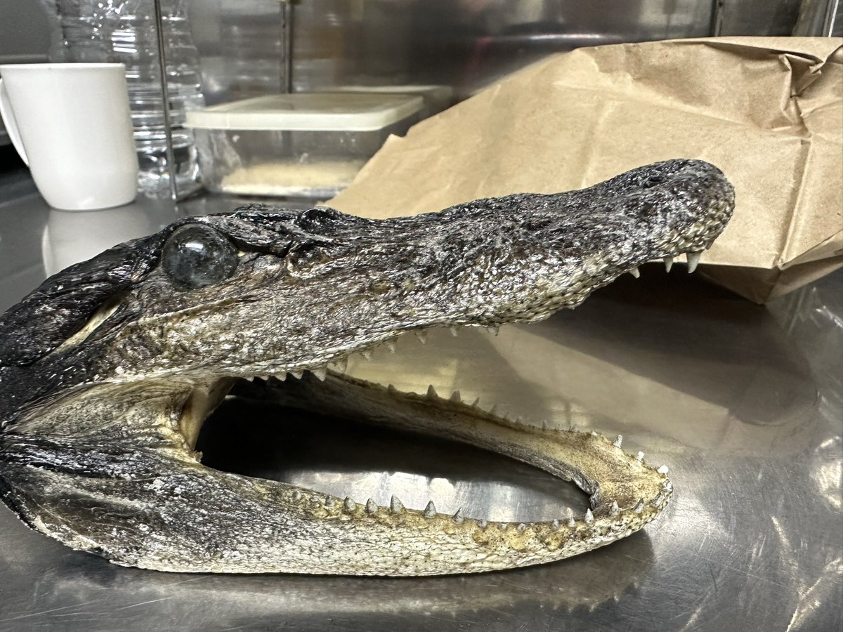 フロリダ出身のS様からお土産いただきましたありがとうございます