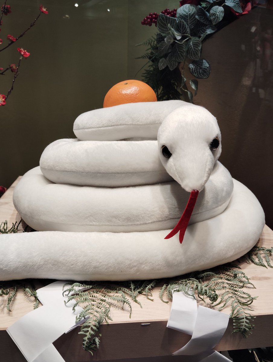 ⭐︎武蔵⭐︎ Post by しゅ〜 on X: 武蔵ちゃん！