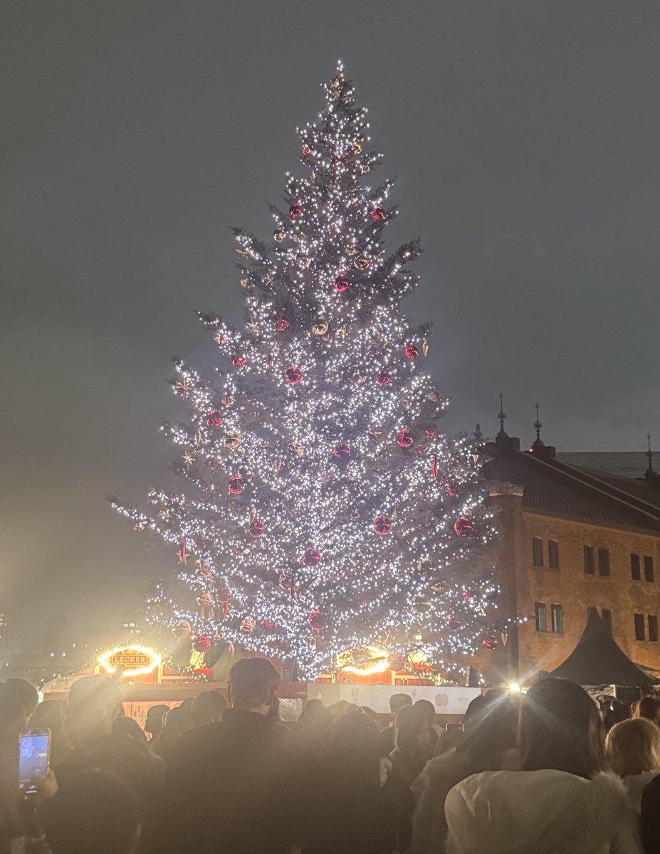 昨日は急遽 #マシュマロ撮影会 みなとみらいエリアに参加してきました✨
夜は雨が降ってしまいましたが、撮影できそうな場所を探しつつ、素敵なお写真たくさん撮れたかなと思います🫶

いずみちゃんとは２日連続で会えました☺️💕