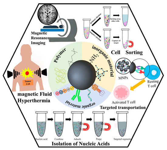 Materials_mdpi's tweet image. 📌Magnetic #nanoparticles (MNPs) have found extensive application in the biomedical domain due to their enhanced #biocompatibility, minimal toxicity &amp;amp; strong magnetic responsiveness.

👉Access the full article: brnw.ch/21wYDI4

#MaterialsScience #Nanomaterials #Materials