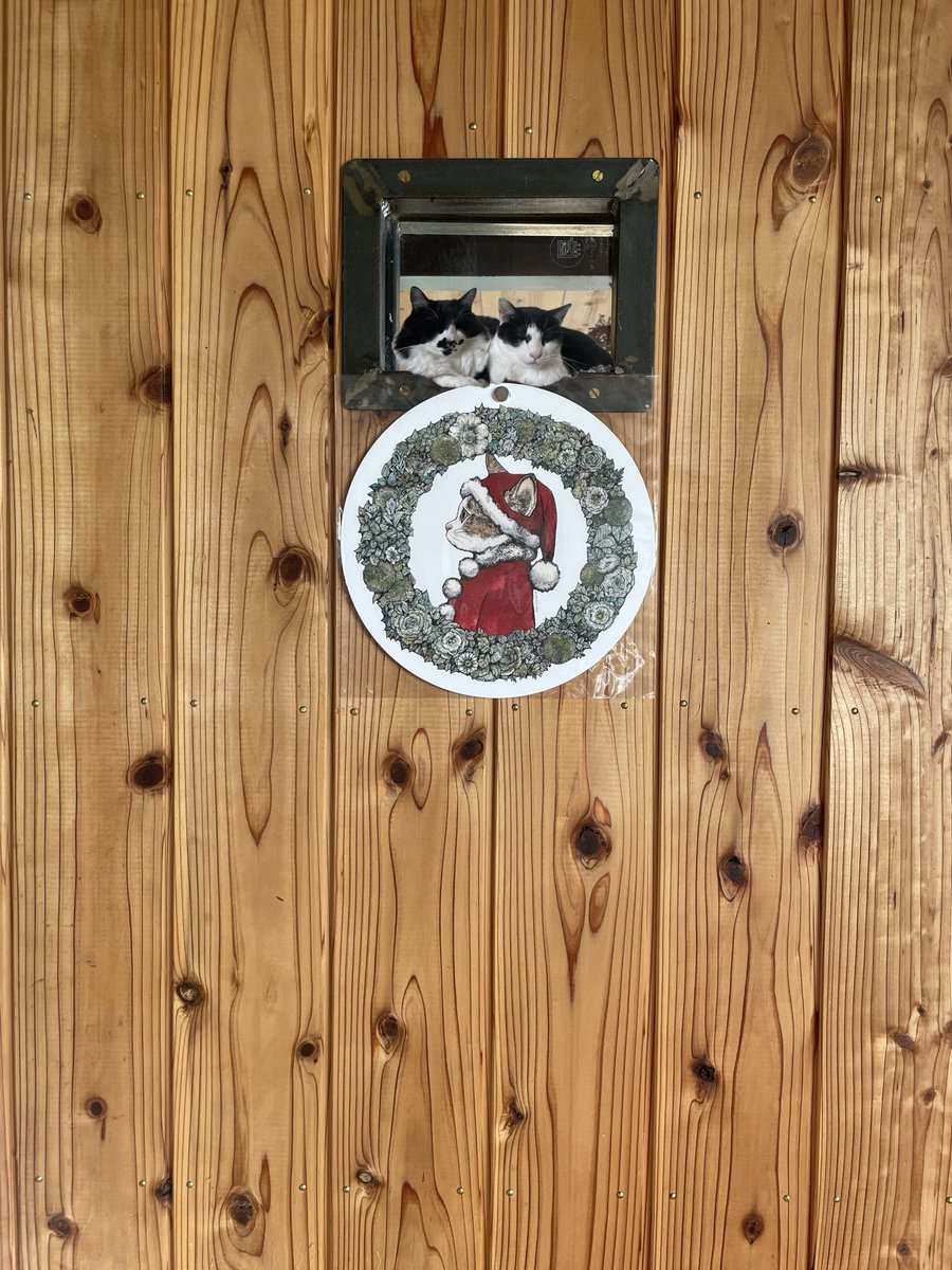 らいおん丸 (@lionmaru_046) / Posts / X