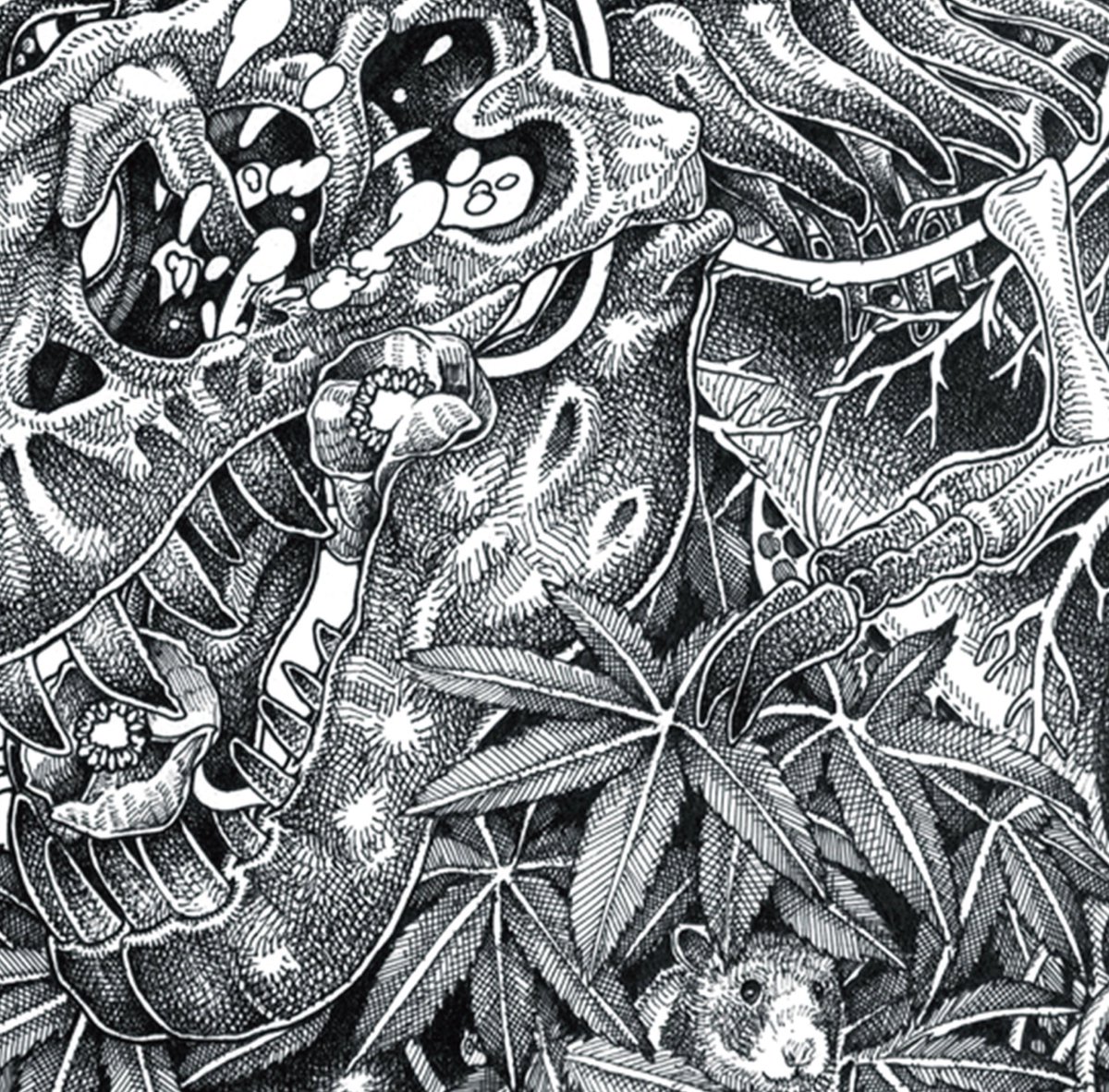 ◥◣限定生産盤 「鳳凰」 販売決定◢◤ 限定生産盤 「鳳凰」 ￥1,000