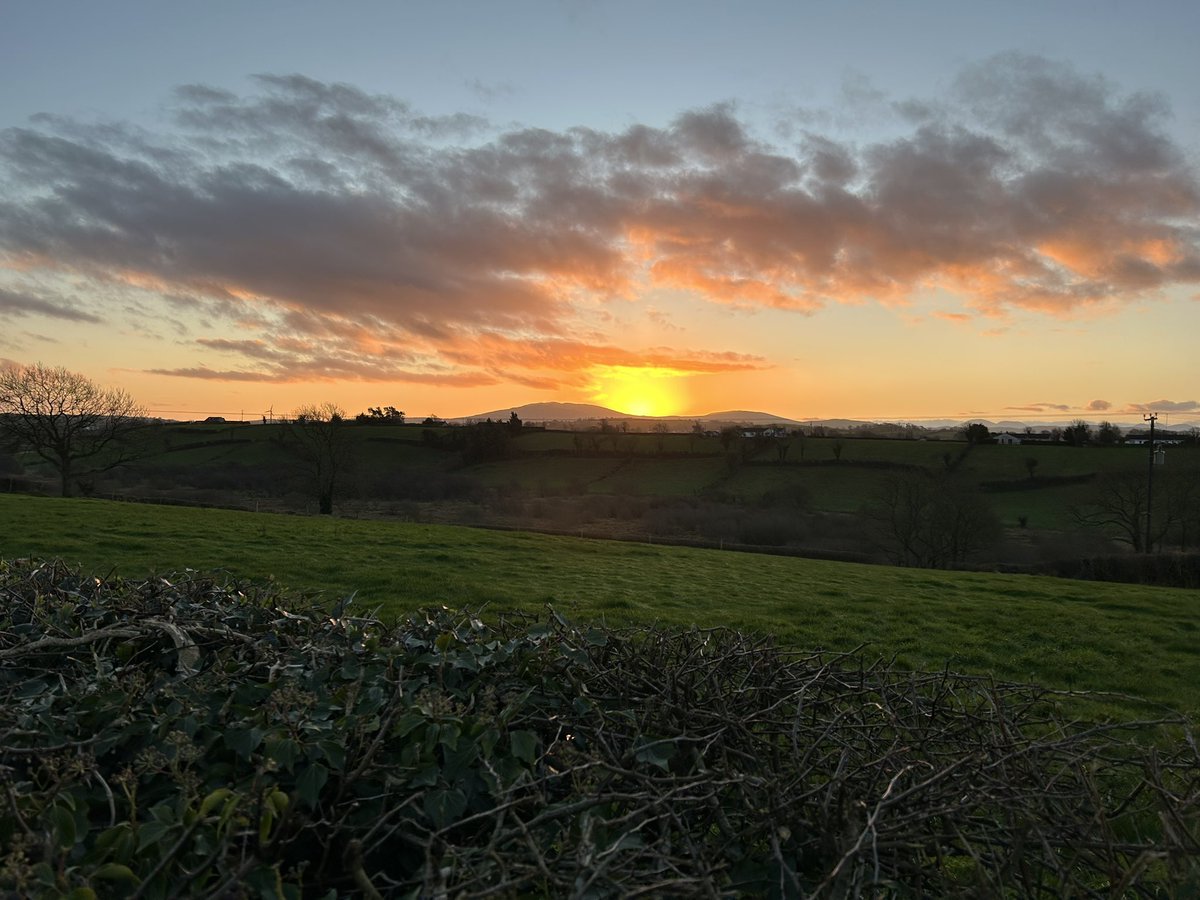 Angel Doves tweet media