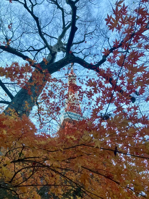 今年最後のお墓参りに行きつつ東京タワーまで足を伸ばしました。富士山とか東京タワーとか、象徴的なものってやっぱなんかいいなーって思います。