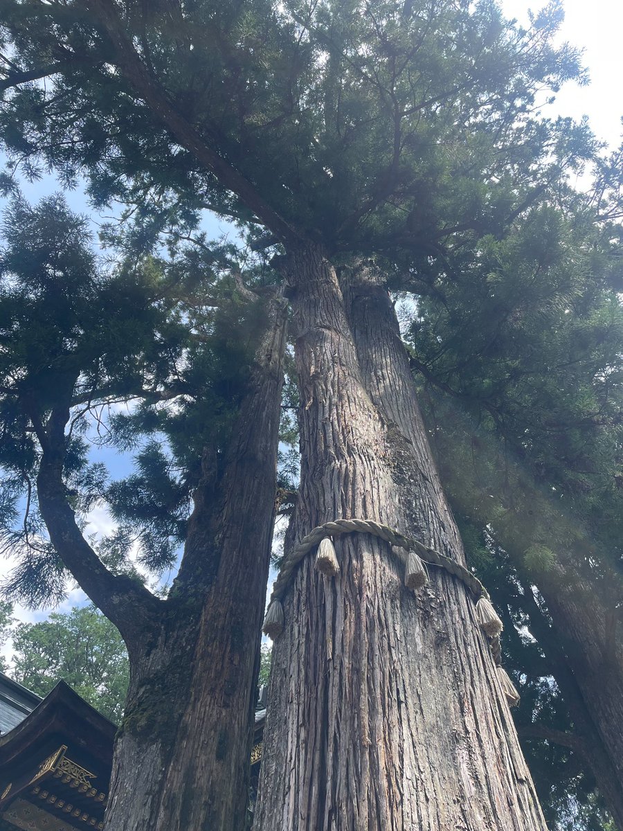 reocopon's tweet image. 明日12/27(土)は神奈川です🍁

#グランドオータ厚木店 抽選～11：15
#グランドオータ瀬谷店 12：45～15：00

予定です🙋‍♀️明日は今日より寒そうだから暖かくして遊びに来てね🏃‍♂️🏃‍♂️

#PR