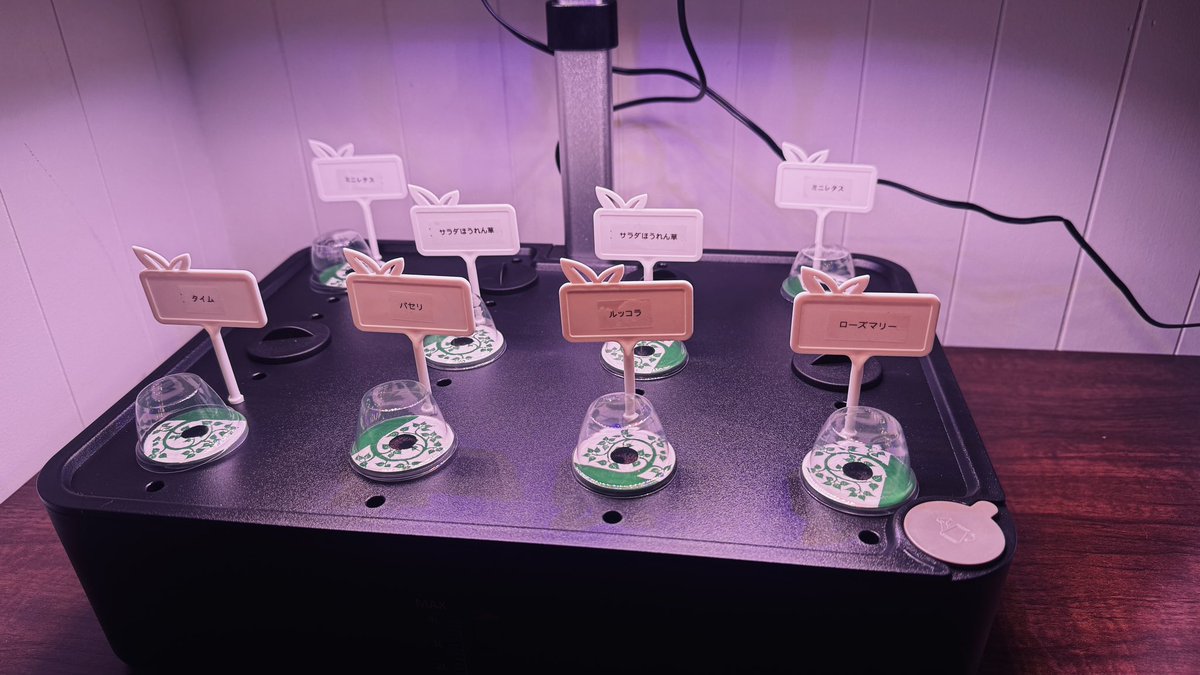 ちーさま (@ouchikaeru1234) / Posts / X