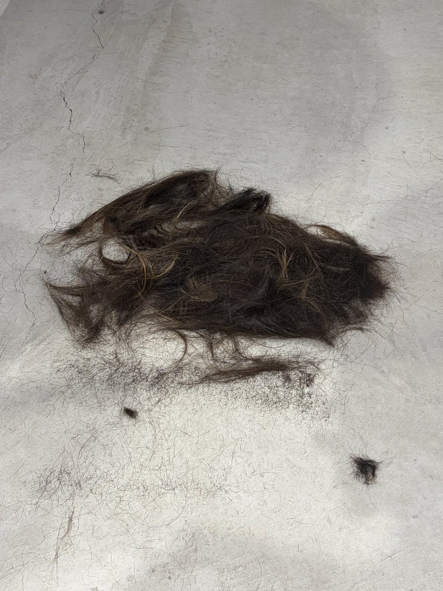 iskw413 (@yo_itter) on Twitter photo 