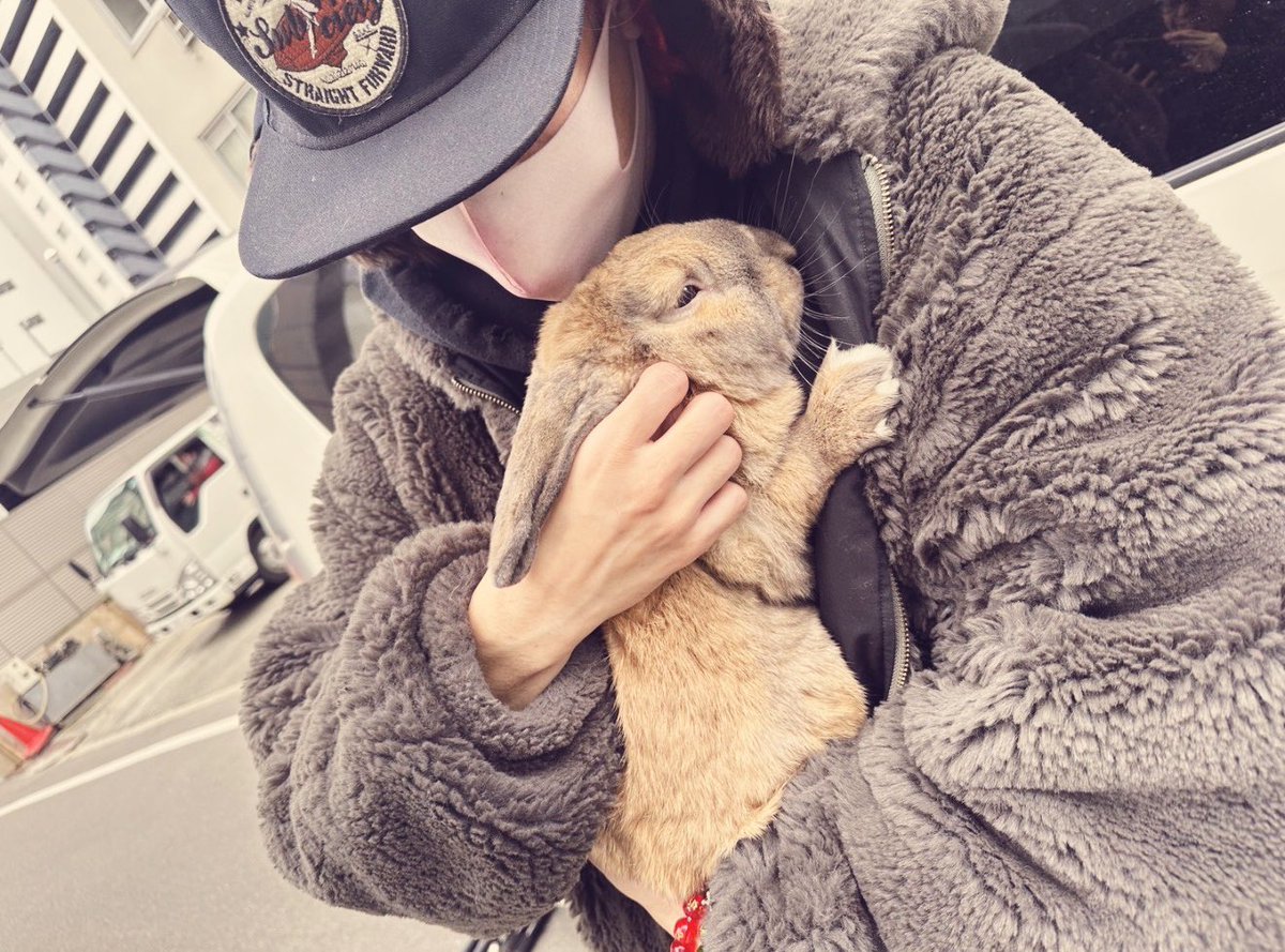 ちなみに昨日インスタライブで話した
ウサギ嫌いって言うてたキャンディに
東京から疲労困憊で帰ってきた状態でウサギを抱かせた時の写真です