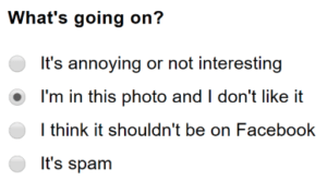 DiR'/Chiku tweet media