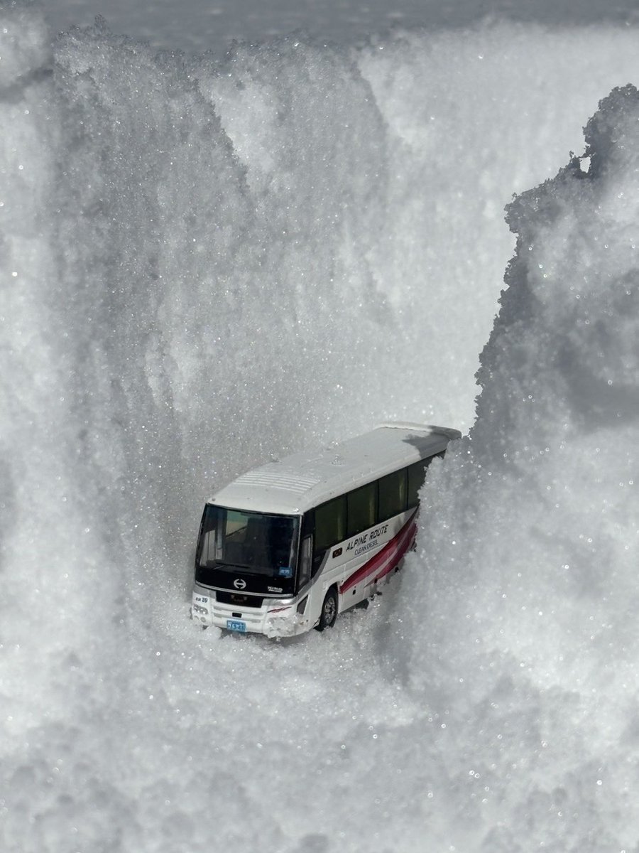 よっしーページ よっしー@BASHtv (@yossi_rock) on X